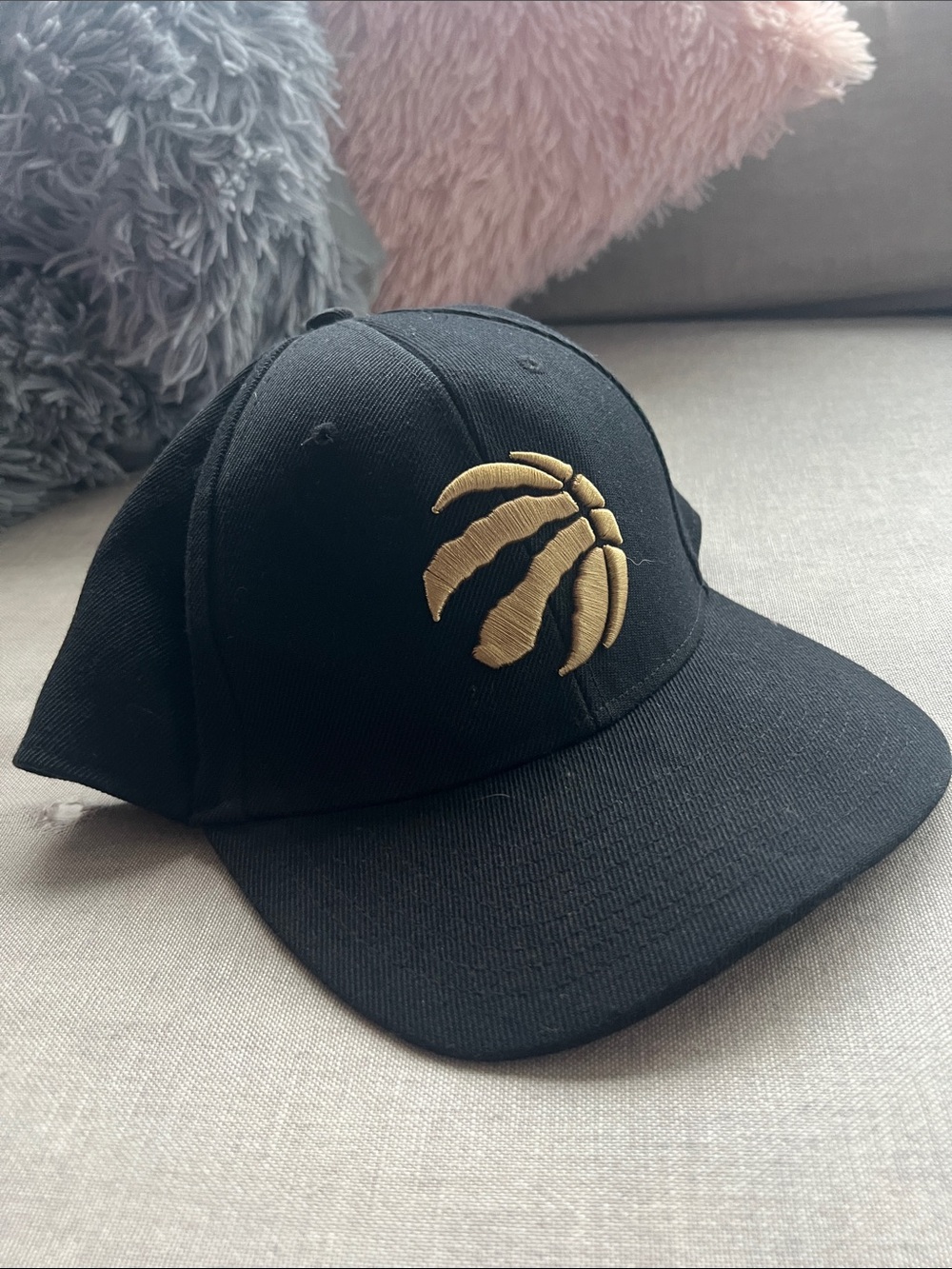 Men's Raptors cap Logo